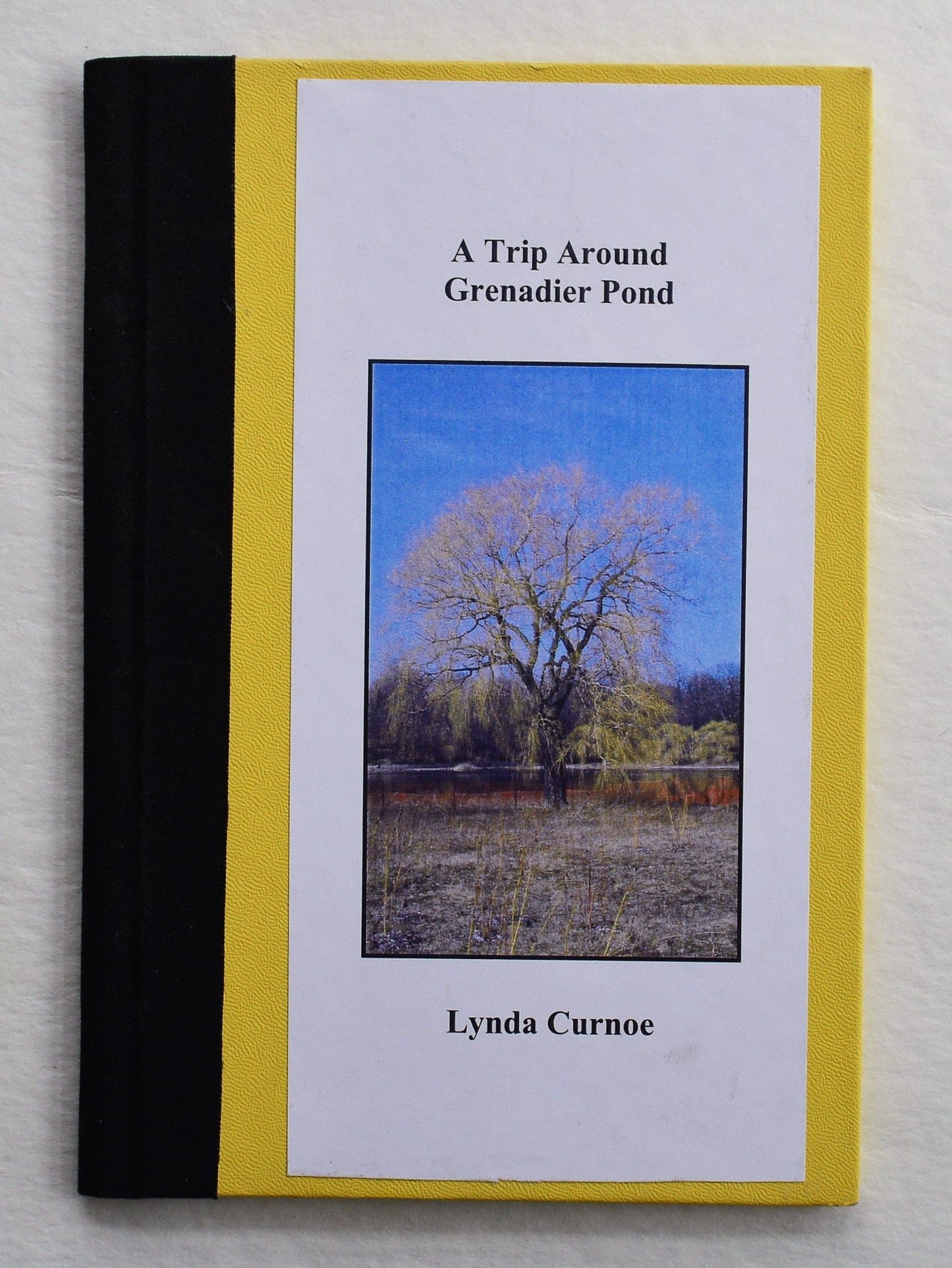 A Trip Around Grenadier Pond - Lynda Curnoe