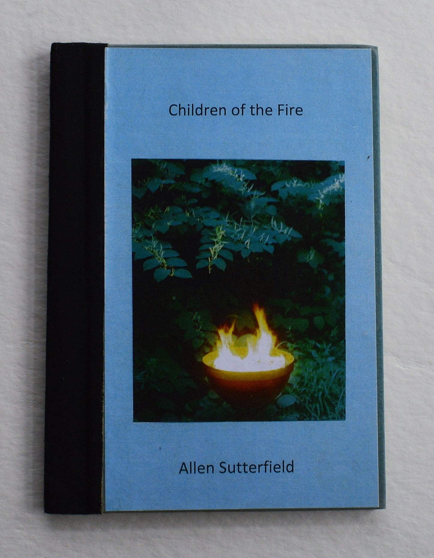Children of the Fire - Allen Sutterfield