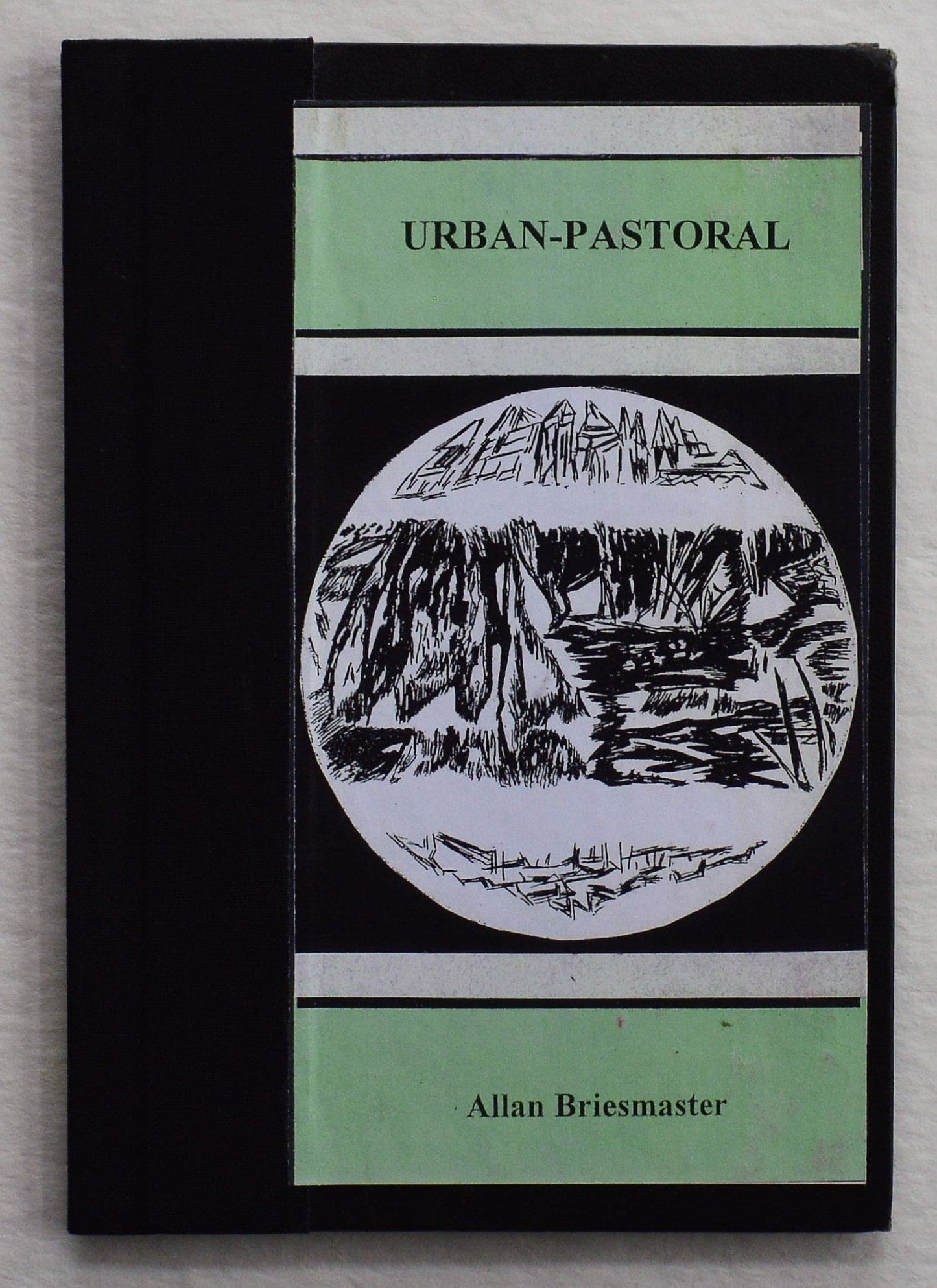Urban-Pastoral - Allan Briesmaster