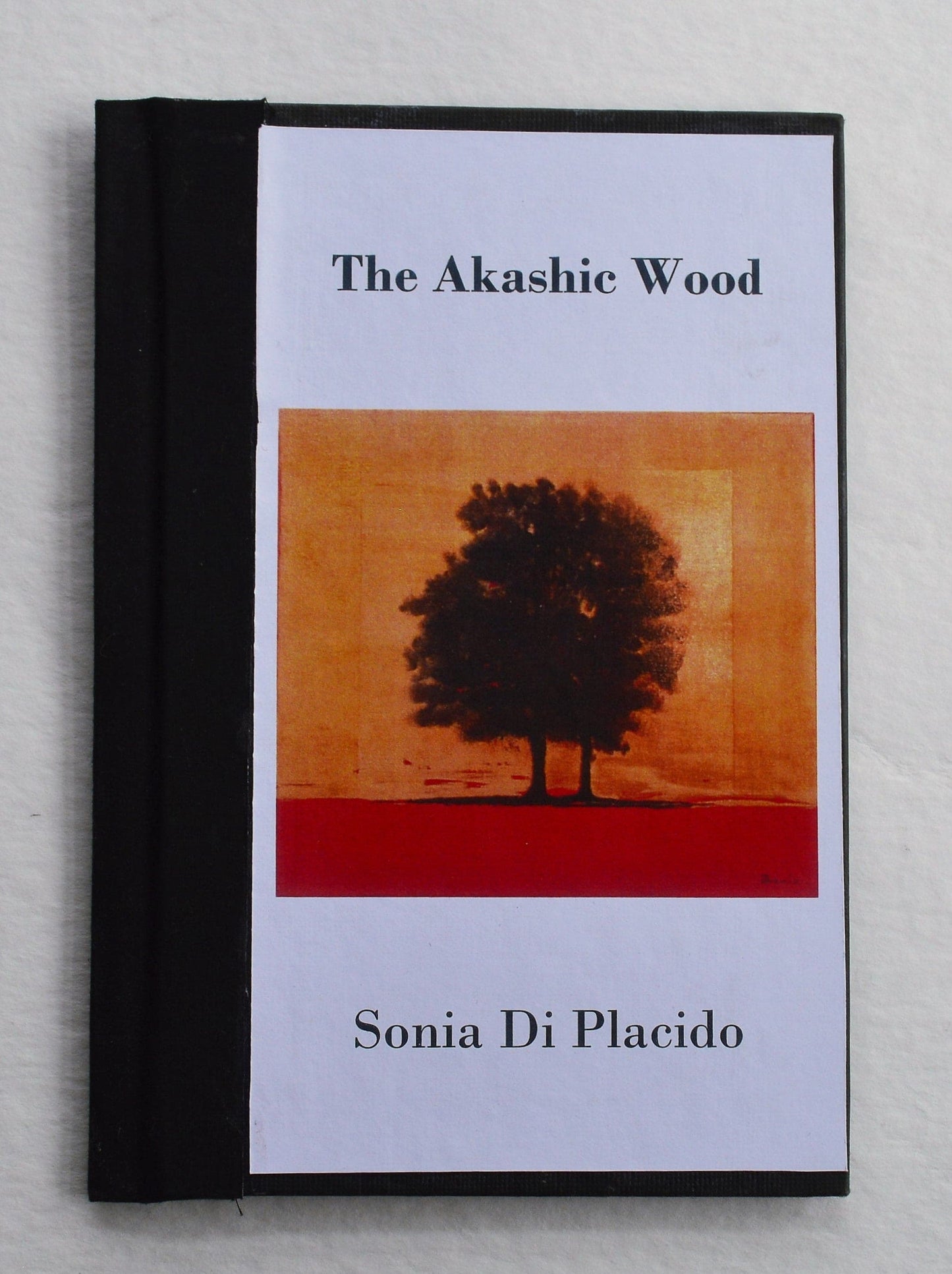 The Akashic Wood - Sonia Di Placido