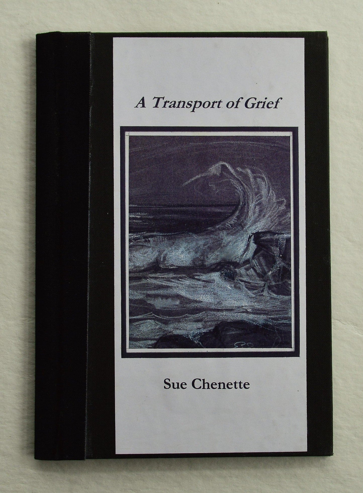 A Transport of Grief - Sue Chenette