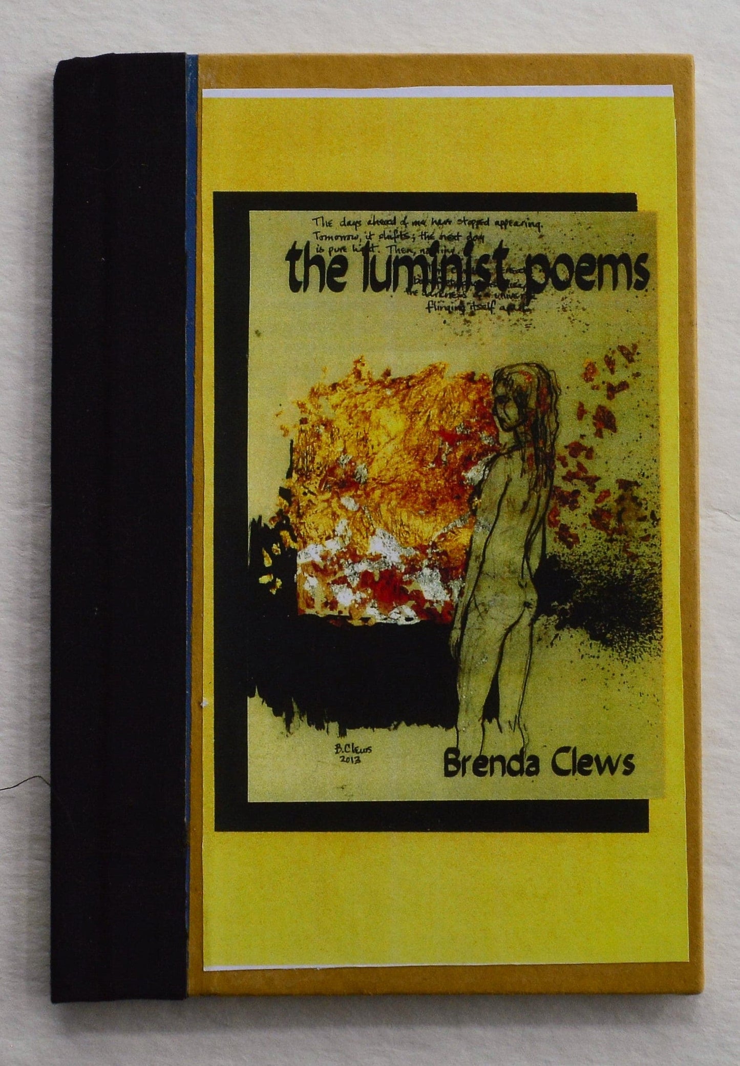 The Luminist Poems - Brenda Clews