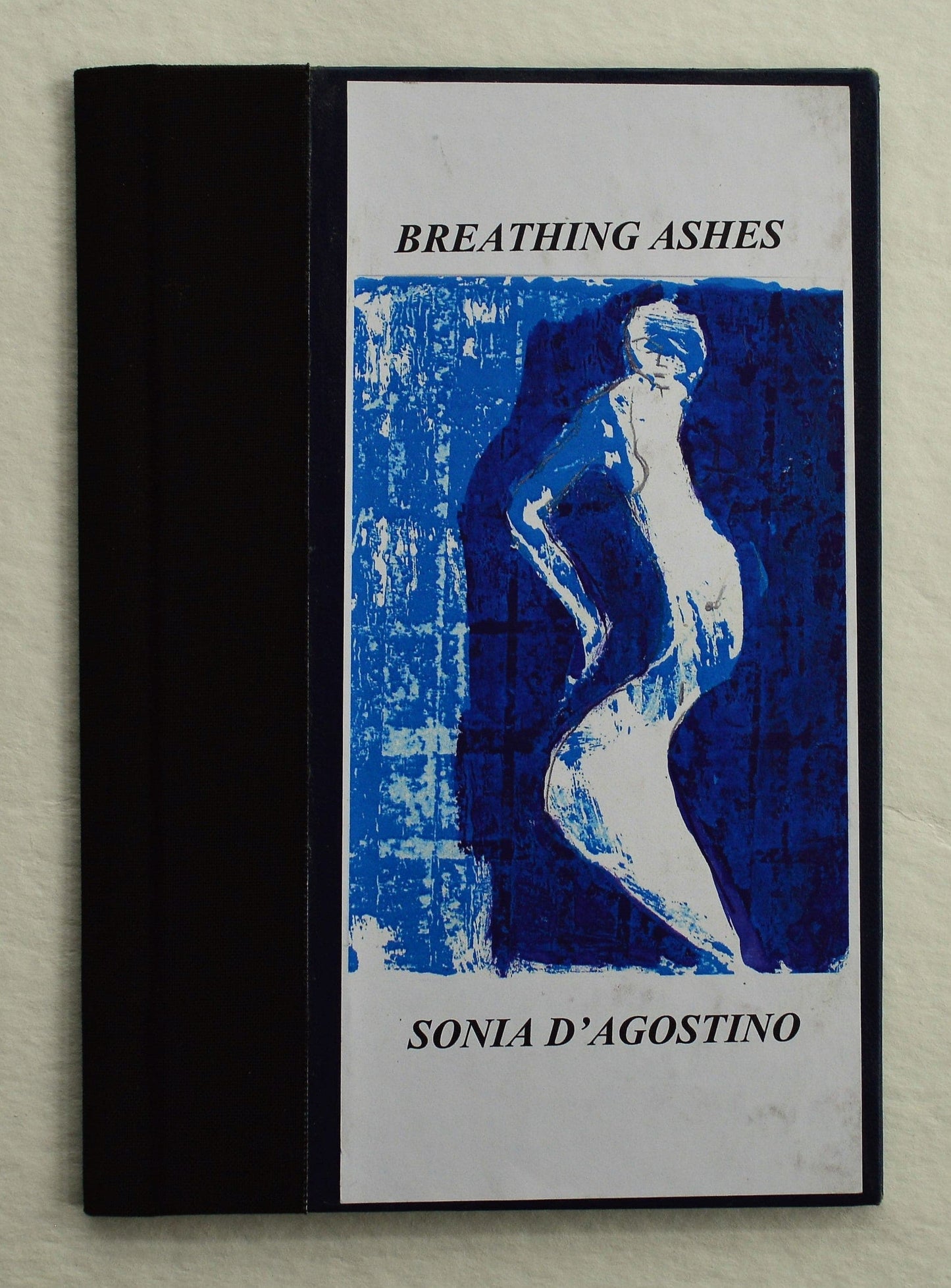 Breathing Ashes - Sonia D'Agostino