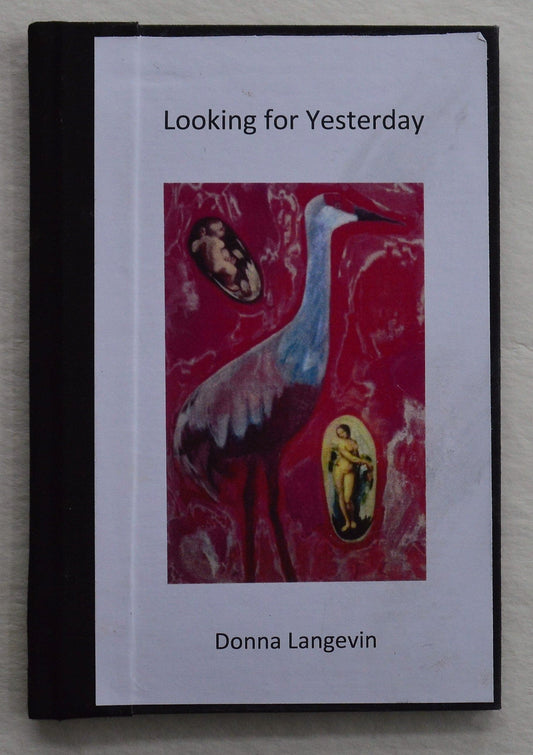 Looking for Yesterday - Donna Langevin